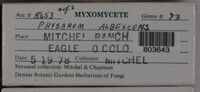 Image Associated With the Occurence